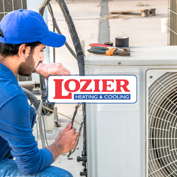 Lozier site & Digital Marketing Blue Compass Portfolio